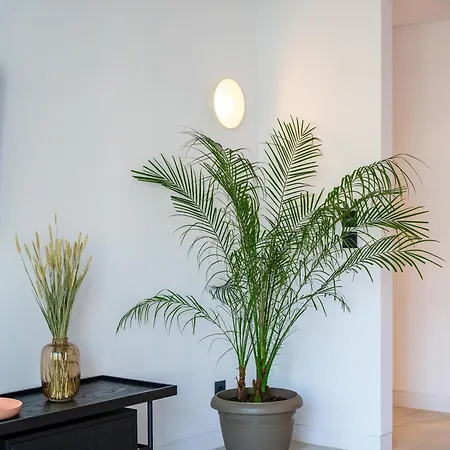 Apart Otel Memphis Center İstanköy