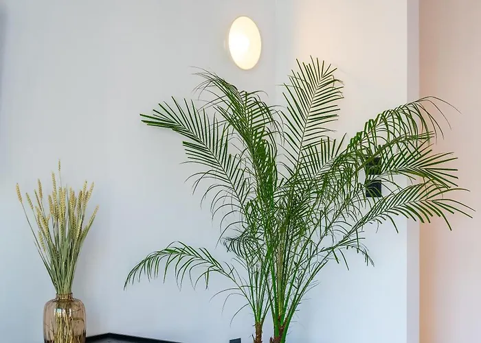 Apartmanhotel Memphis Center Kosz